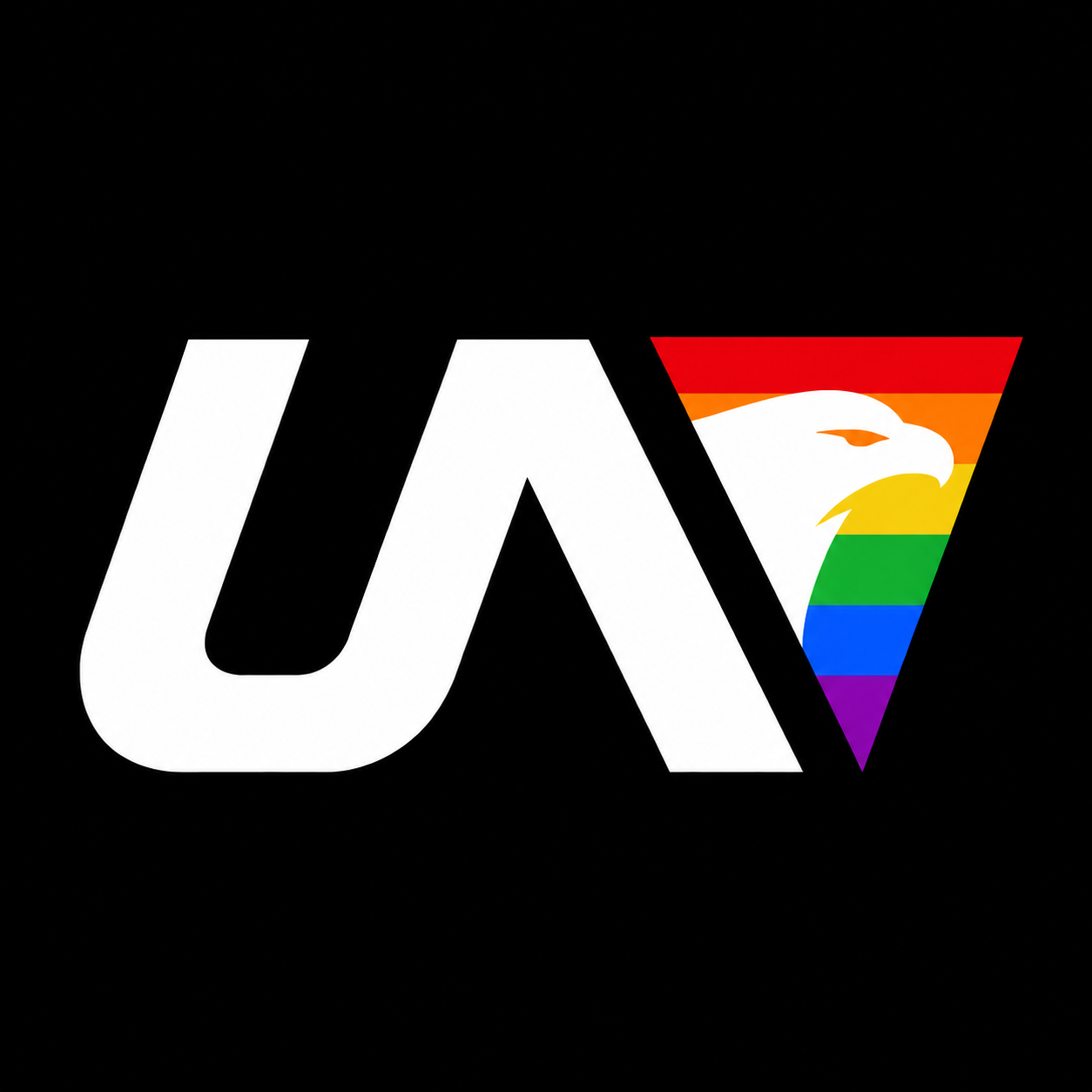 UN-四队鹰击 logo